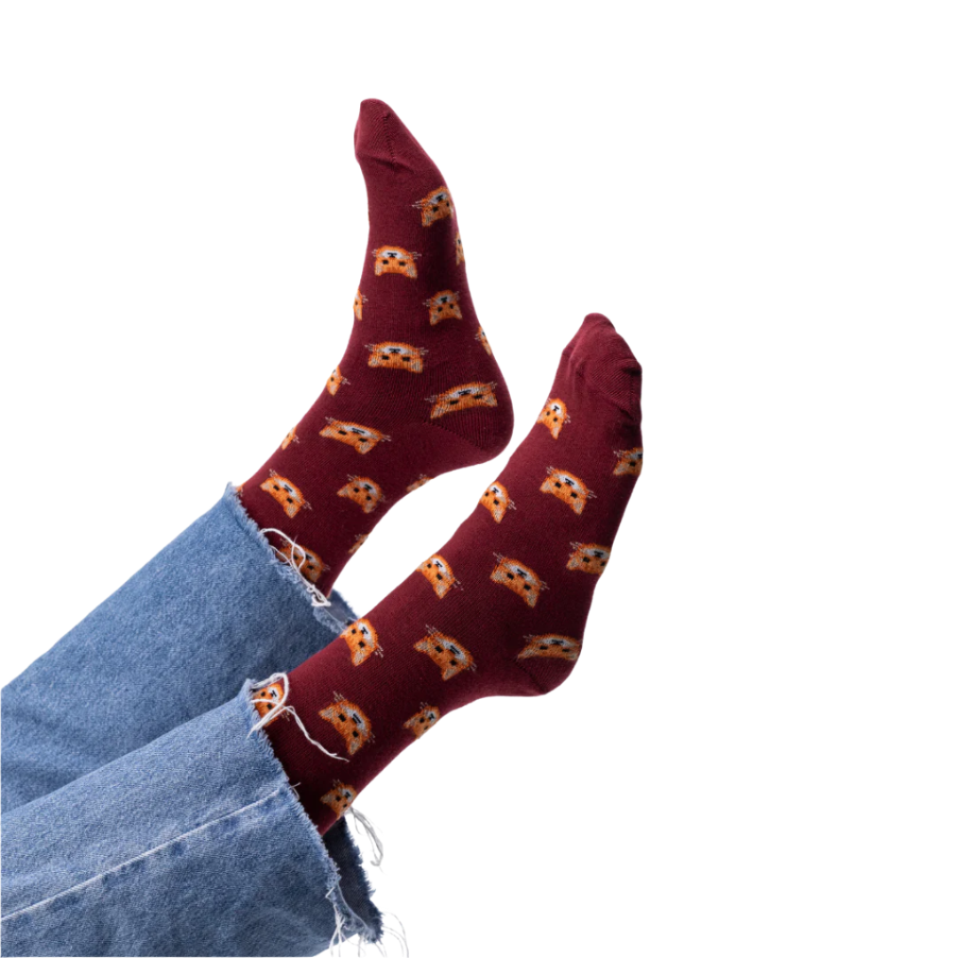 Cat Socks