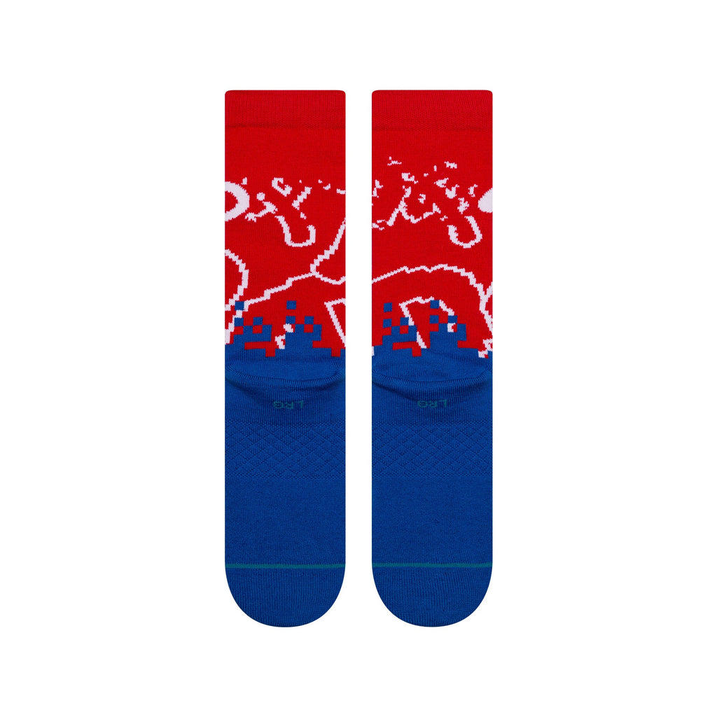 PIXEL PHI