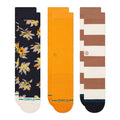 EQUINOX CREW 3 PACK