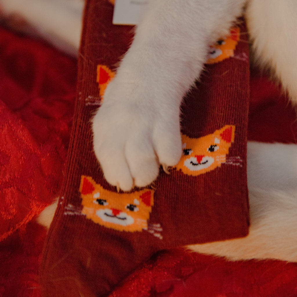Cat Socks