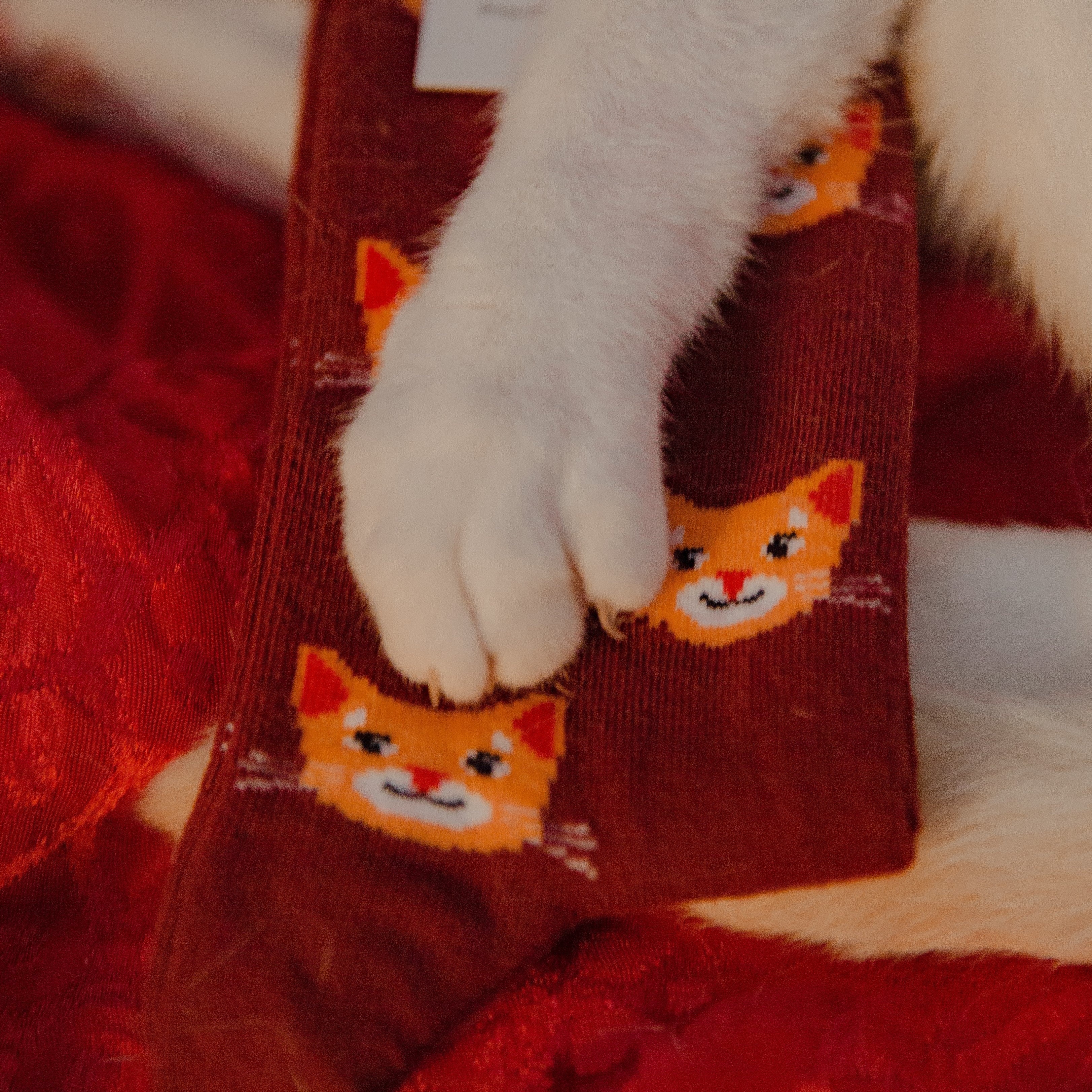 Cat Socks