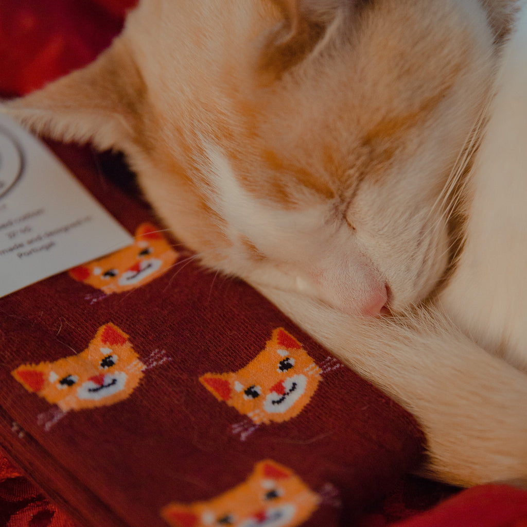 Cat Socks