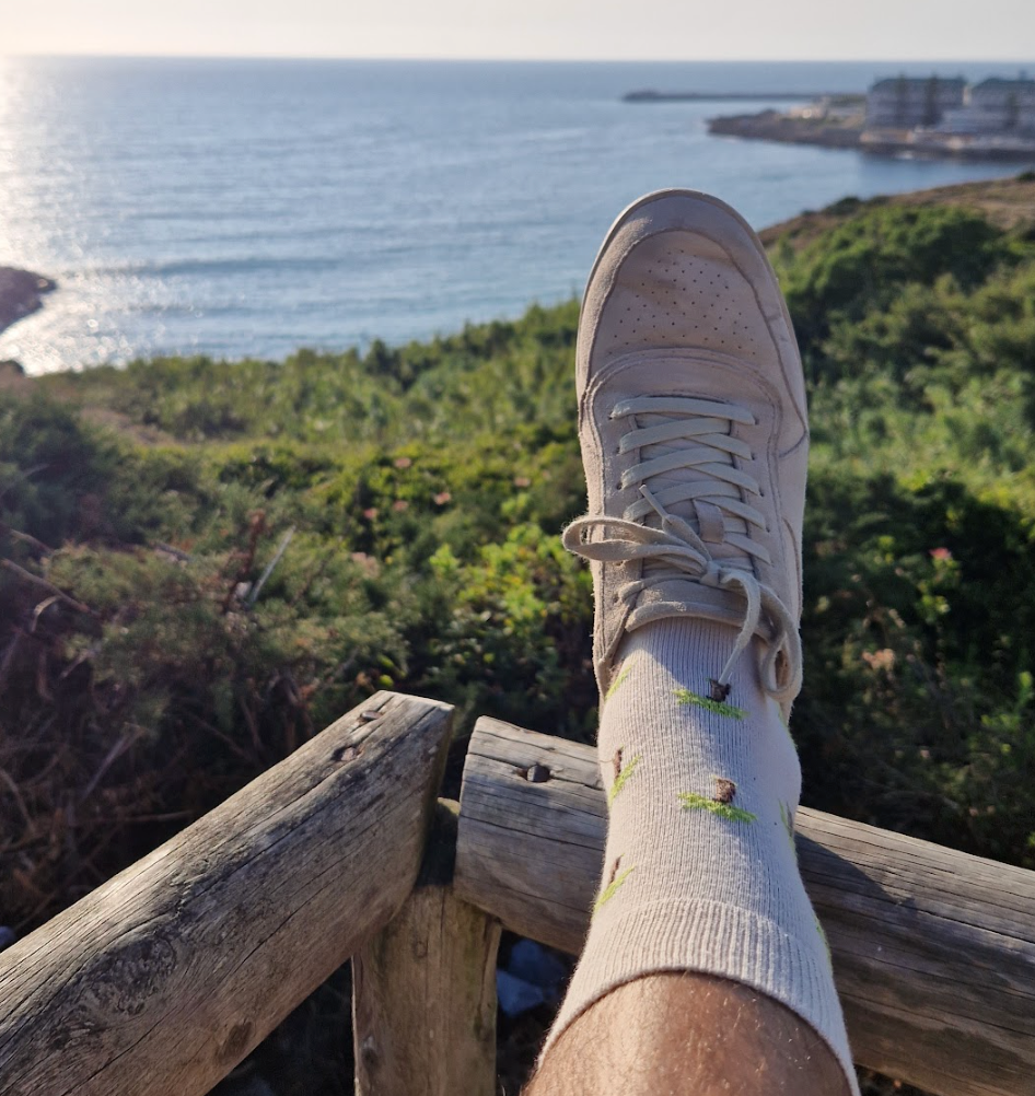 Palm Tree Socks
