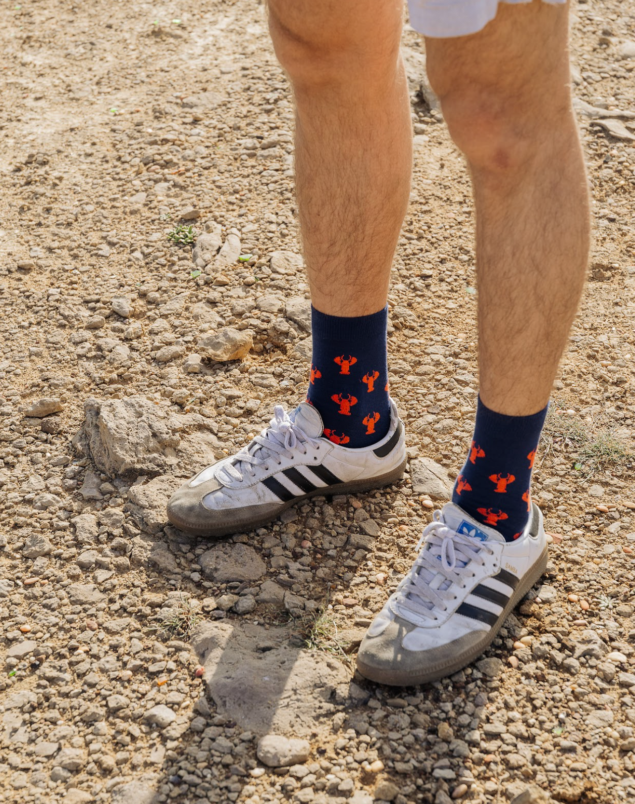 Lobster Socks