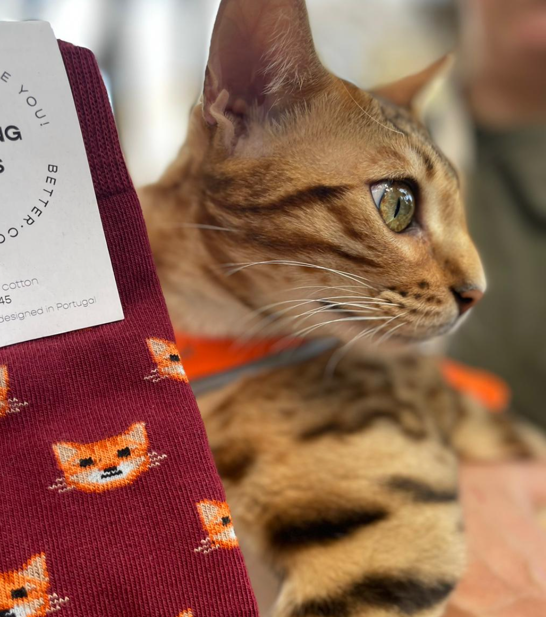 Cat Socks